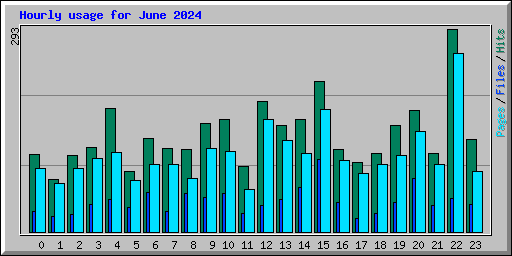 Hourly usage for June 2024