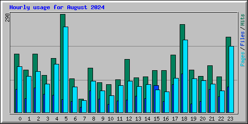 Hourly usage for August 2024