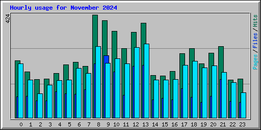 Hourly usage for November 2024